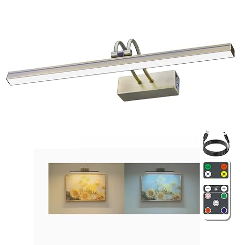 FUNCHDAY Wireless Picture Light, 2 Colors Wall Lights for Pictures Frame, 5000mAh Rechargeable Battery Art Lighting for Paintings, Dimming Timing Gallery Artwork Light (Antique Brass)