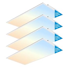 2×4 FT LED Light...