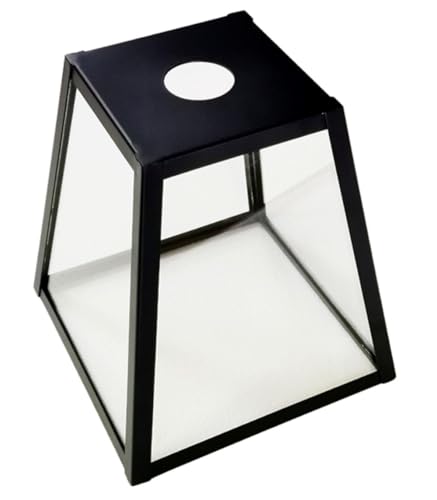 Image of Litex Industries: No Neck Square Metal Matte Black Pendant Lighting Fixture with Clear Glass