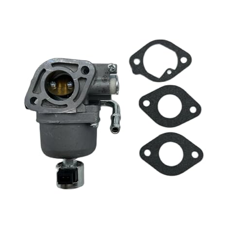 Carburateur BP24-3 Briggs&Stratton 699807 pour tondeuse et chasse-neige