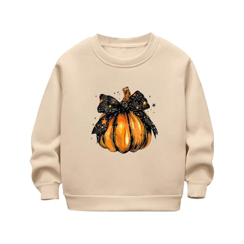 Boys Girls Pumpkin Print Fleece Casual Crewneck Sweatshirt Long Sleeve Loose Pullover T-Shirt Kids Cute Graphic Tee Tops
