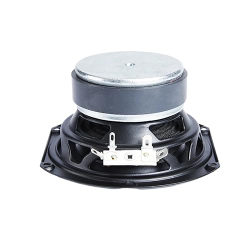 LfrXtra Sonido 98 Mm 4ohm 30W Rangos Completos Altavoces Lados Ndfeb Altavoz Portátil Magnético Teatro Sonido