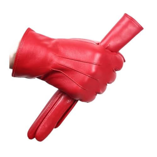 [VKTRID] _炩Kȏ̓~̎܏̂߂̒g^]v(8)