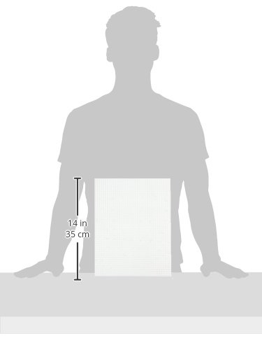 Darice Canvas, Lona de Plástico , Transparente, 26.7 x 34.3cm