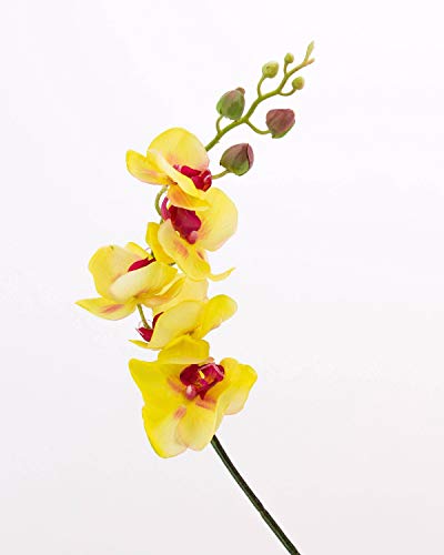 artplants.de Künstlicher Phalaenopsis Zweig, real Touch, grün-Burgunderrot, 90cm - Kunstzweig