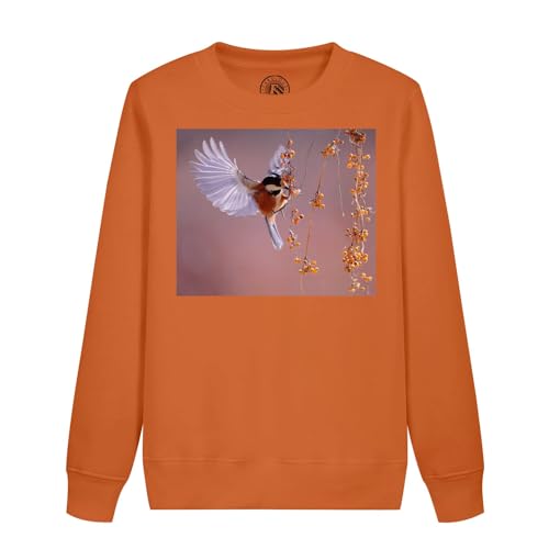 Sweatshirt enfant magnifique oiseau ailes déployées animal vie sauvage pull nature