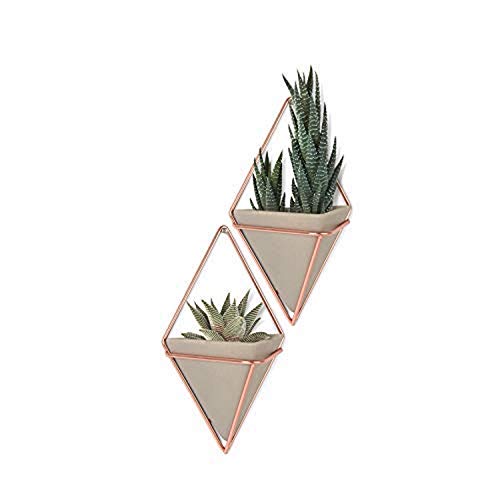 Umbra Altman Plants Succulents Flowering Collection 2.5 Inch - 4 Pack Trigg Hanging Planter - Small Copper #TOP16