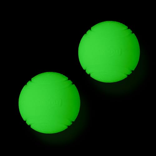 Vitalili 2 Pcs Glowing Fetch Ball Rubber Glowing Balls For Dogs Toy Balls Water Ball Toy High Bounce Dog Training Ball Chew Resistant Dog Ball For Dogs Under 60 Lbs Belgian Malinois Gifts  cover