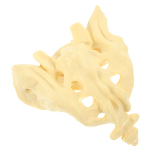 Modèle anatomique du sacrum lavable et portable Vaguelly en PVC pour la pratique