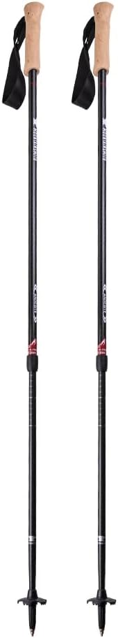 Andesite Trekking Pole Pair - Carbon