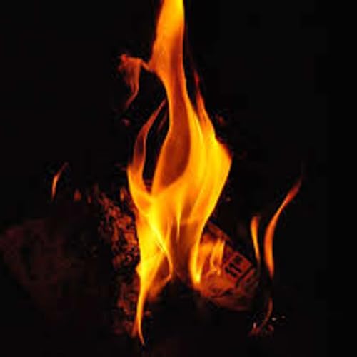 Shemini &ndash; Torah And Jewish Thinking - The Strange Fire We Still Bring