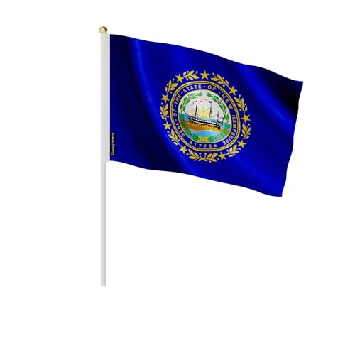 Drapeau New Hampshire 30x45cm lot 50 pièces pavillon américain fête