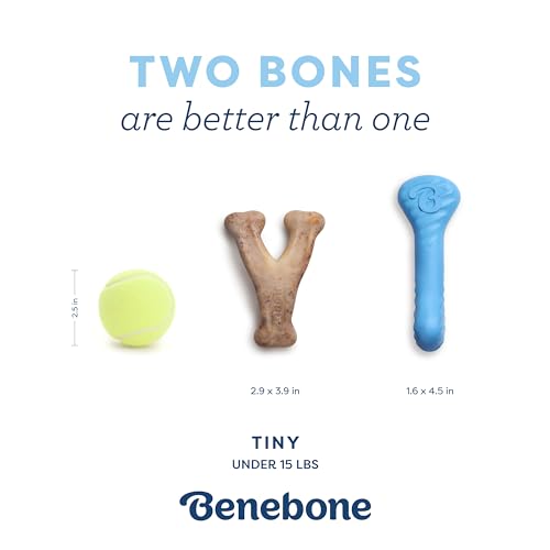 Image of Benebone Puppy 2-Pack Rubber Bone /Wishbone Bacon Tiny
