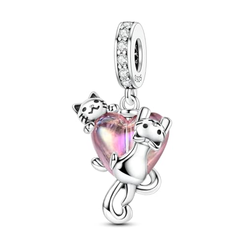 Hapour 925 Plata Esterlina Encantos Ajuste para Pulseras Colgante Bead, Pulsera y Collar de Joyería Bead Regalos para Mujeres Chica