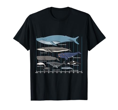 Tipos de ballenas - ballena enorme Camiseta