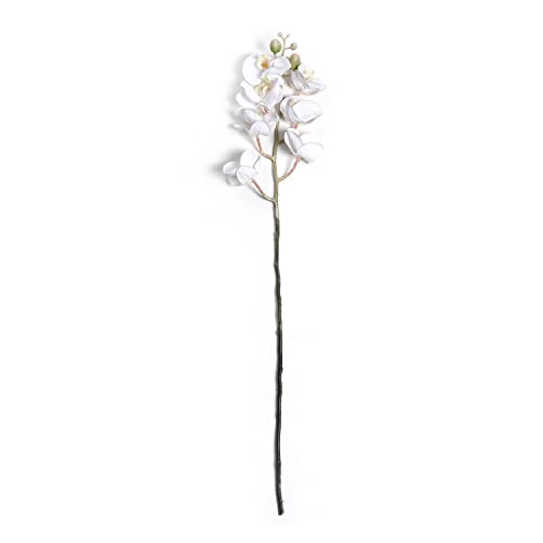 Image of Pure Home and Living Orchid Ivory Stem