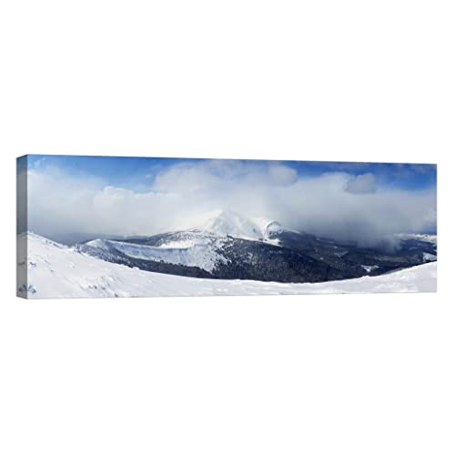 Tableau nature luminescent dans le noir toile 40x120 cm DCL106-4