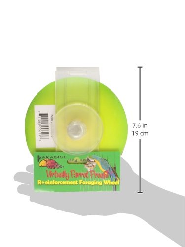 Paradise Toys Bird Creative Foraging System Wheel, Spins with Food Inside, 6” Diameter - image 3