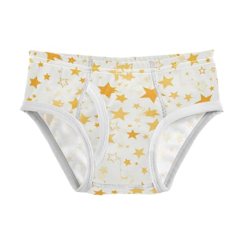 KLL Gold Star Toddler Boys Comfort Underwear Cute Children Undies