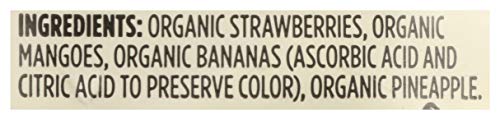 365 By Whole Foods Market, Tropical Fruit Medley Organic, 32 Ounce #TOP3