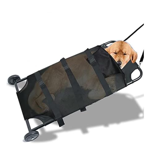 �|�[�^�u���A���S�� ���S�� �K�[�j�[ ���� ���� ���[�o�[ �g���x���T�C�Y �ً}������ ���e�� 250�|���h