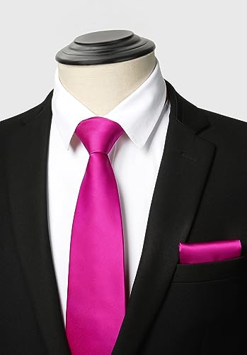 Image of HISDERN Mens Ties and Pocket Square Set Business Elegant Ties for Men Classic Lot 3 Pcs Wedding Party Neckties & Handkerchief