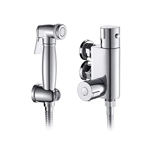 Douche hygiénique murale chaude et froide résolvant le manque de place du bidet classique