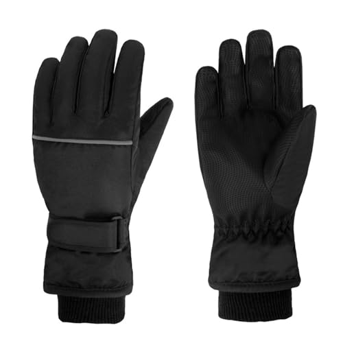 [Avarrerog] XL[O[u LbY j̎q ̎q ~ 5{w n H ~ h  N g ӂӂ Xm[O[u w h   lC op AEghA V ʉ ʊw(ub