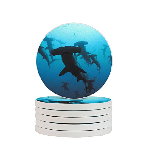 Dessous de verre requins marteaux anti-condensation pour protéger la table - 2