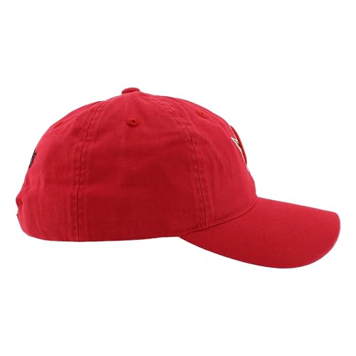 Image of ZHATS NHL Unisex-Adult NHL Officially Licensed Adjustable Hat Scholarship Icon Team Color