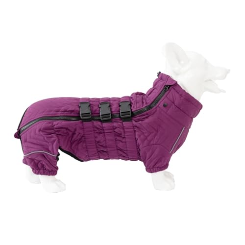 �u���������p�X�m�[�R�[�g �~�p�q���� �h�� �h�� ���p�t���[�X�W���P�b�g �W�b�p�[�t�� �g�����S�g���p�h���� ���^�� ���^�� ��^���p �~�� �h�b�O�E�F�A �y�b�g�A�p���� �h���� 4�{�r �J�o�[�I�[�� ���O�U�� �h�� �h�� �C�^�O�� �E�B�y�b�g �Č� �g�C