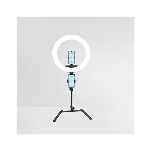 WYH Makeup Licht 18-Zoll-Selfie Ring-Licht 3 Lichtmodi mit Standphone-Inhabern für Vlogging YouTube-Videoaufnahme-Make…
