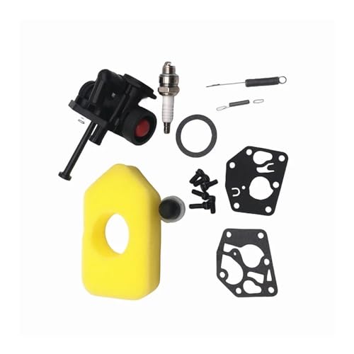 Carburateur pour outils de jardin 794147 699660 ITHVMAZWD