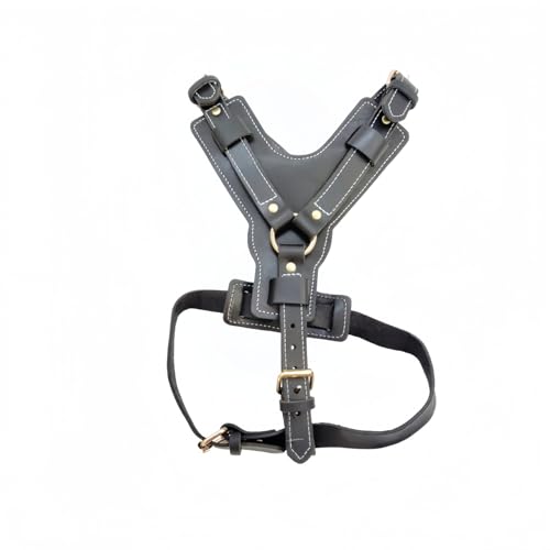 {v Y^pn[lX ^ \`FXgXgbv | KtBbg (M,ubN)