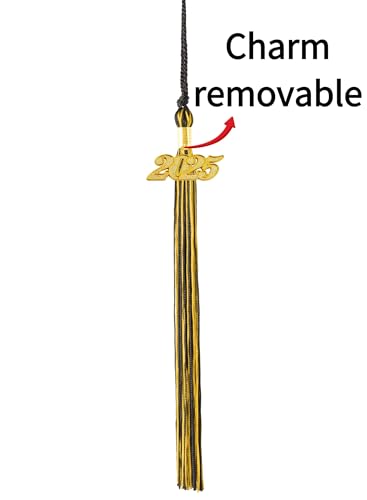 Image of 2025 Graduation Tassel, Black and Gold Tassel 2025