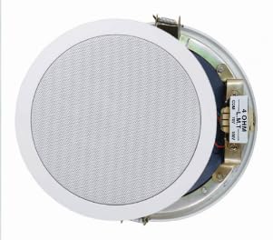 Ceiling Sound Speaker, 10 inches, 30W, High Fidelity, Full Range & Free Edge, For Office, Showroom, Conference Hall & Multipurpose