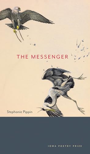 The Messenger view 2