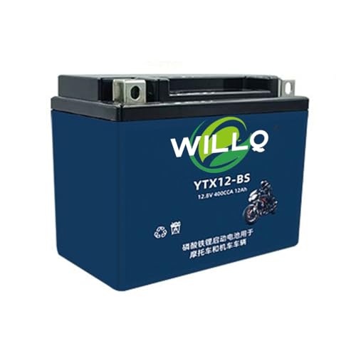 WILLQ Batería de Litio LiFePO4 de 12,8 V, 4 Ah, 5 Ah, 7 Ah, 9 Ah, 12 Ah, 15 Ah, 20 Ah y 30 Ah para Arranque de Motocicletas, ATV, Motos acuáticas, cortacéspedes y Scooters.,Ytx12 BS