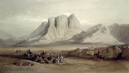 Cuadro de Edward Lear impreso en lienzo artístico de alta resolución 60x90cm