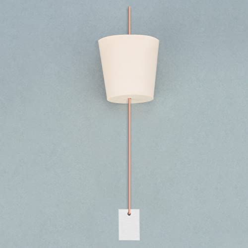 stonylab Eisenblech-Elektrode, 10x15x1 mm, GDMS-getestet, 5er-Pack für Elektrochemie