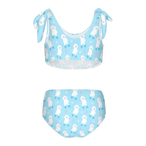 Toddler Girls Bikini Set Ski Dog Swimsuits Kid Bowknot Swimwear 2 Piece Bathing Suit 3-12T2