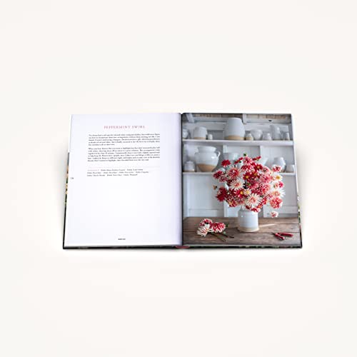 Floret Farm's Discovering Dahlias: A Guide to Growing and Arranging Magnificent Blooms (Floret Farms x Chronicle Books) - Image 15
