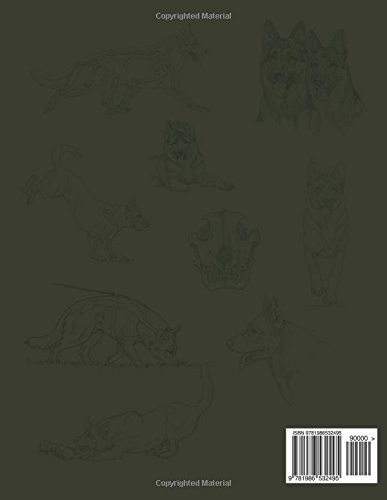 The Illustrated Standard for the German Shepherd Dog      Paperback – April 18, 2018