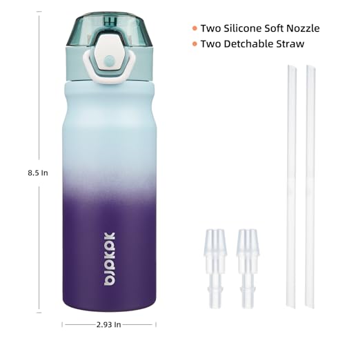 Image of BJPKPK 18 oz Water Bottle with Straw & Handle, Insulated Stainless Flask | Leak Proof Locking Lid, Thermal, Double Wall Vacuum, Keeps Hot /Cold, BPA Free, Dishwasher Safe, Travel & Sports, Ocean Dream