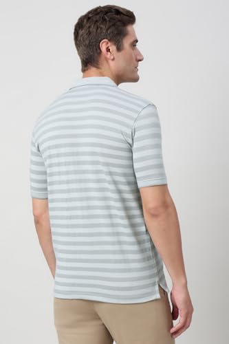 Image of Peter England Men's Cotton-Polyester Blend Striped Polo T-Shirt | Casual Wear | Durable & Trendy Regular Fit