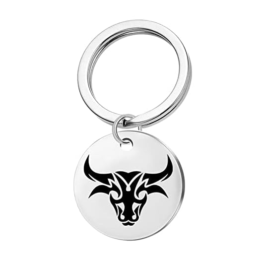 Wycian Llaveros Inoxidable, Llaveros para El Coche Plata Acero Inoxidable 25MM para Hombres Mujeres Amigo Cumpleaños Aniversario