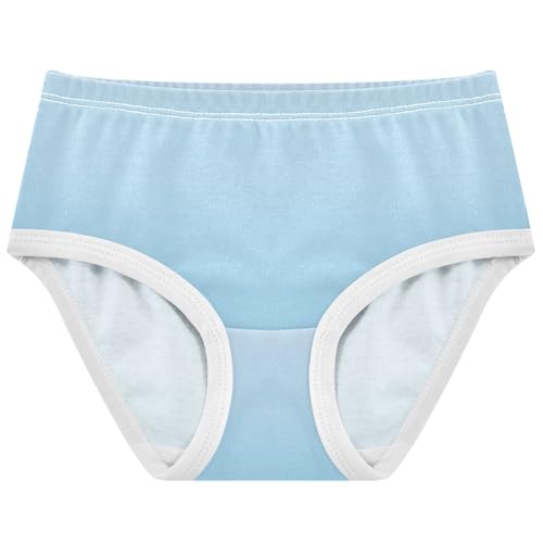 Joisal Ombre Light Blue Gradient Little Girl Panties Girls Underwear Toddler Cotton Artistic Kids Briefs Undies 2t
