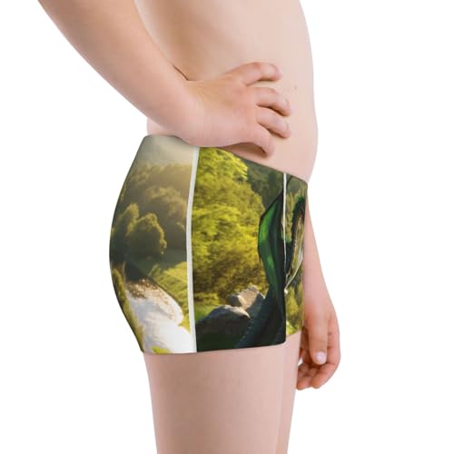 Boys' Cotton Boxer Brief Soft Underwear-Deep Forest Stone Green Dragon2