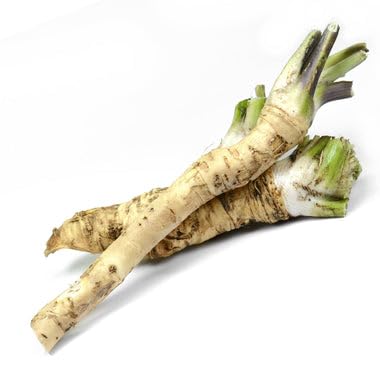 Smoke Camp Crafts Organic Horseradish Roots (Armoracia rusticana) 4 oz Fresh Roots for Eating or Planting - Make your own horseradish sauce.