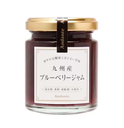 Andante u[x[W sgp Y Y iۑ^^S sgpj 110g  ᓜ BYiu[x[j
